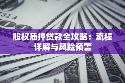 北京股权质押贷款全攻略：流程详解与风险预警
