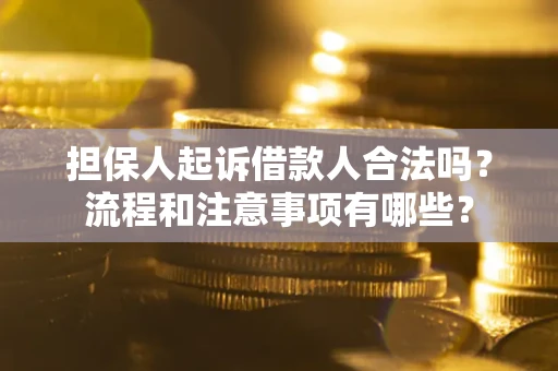 北京担保人起诉借款人合法吗？流程和注意事项有哪些？