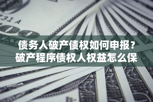 北京债务人破产债权如何申报？破产程序债权人权益怎么保障？
