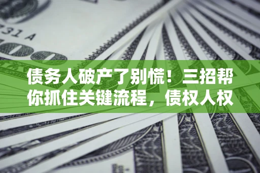 北京债务人破产了别慌！三招帮你抓住关键流程，债权人权益不再缩水
