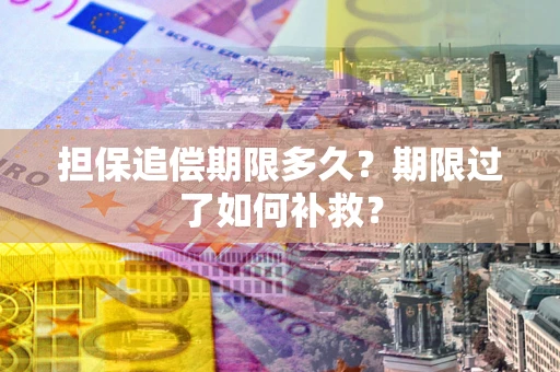 北京担保追偿期限多久？期限过了如何补救？